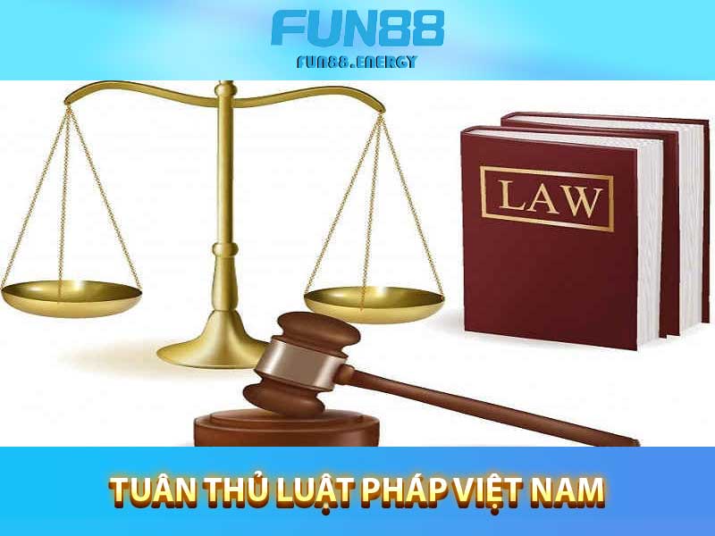 tuân thủ luật pháp Việt Nam