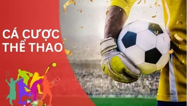 Khám Phá Thế Giới Cá Cược Thể Thao Fun88 - Nơi Đam Mê Gặp Gỡ Cơ Hội
