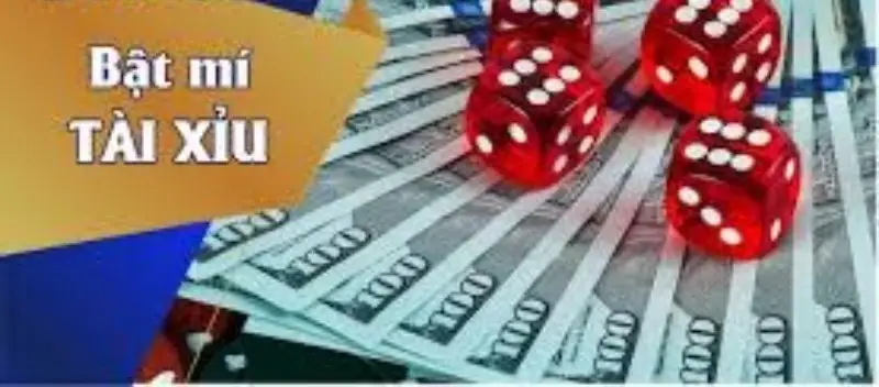 Cách đọc cầu tài xỉu - Hướng dẫn chi tiết cho người mới bắt đầu