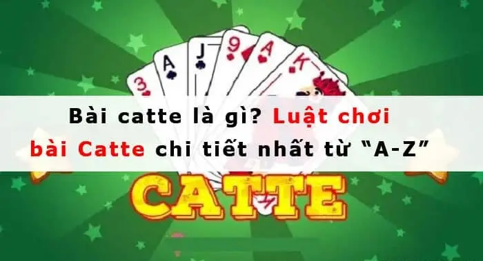 choi bai catte 68272b8dbdbf1